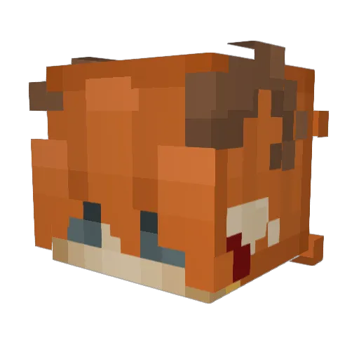 arsi404 Minecraft avatar head, 3D render