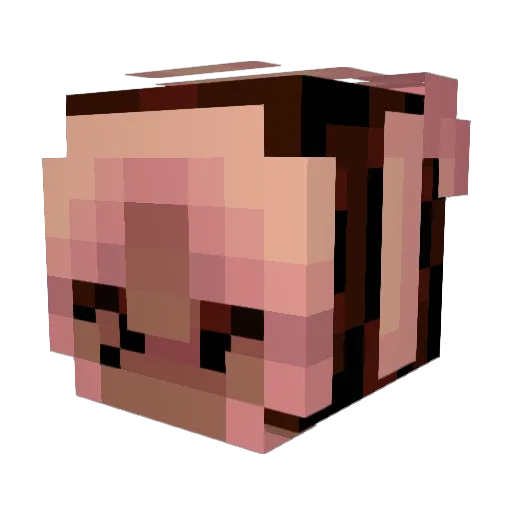 arslix Minecraft avatar head, 3D render