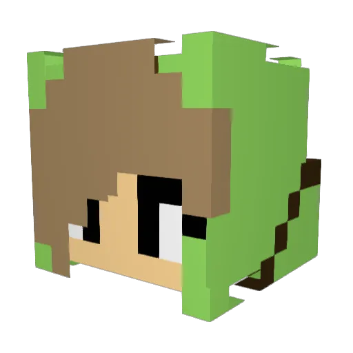 artfulsbunny Minecraft avatar head, 3D render