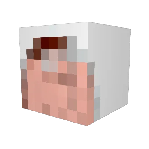 arthoor Minecraft avatar head, 3D render