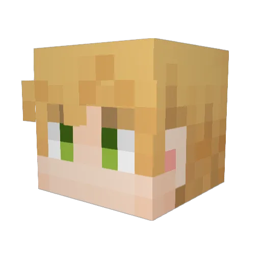 arthur0303 Minecraft avatar head, 3D render