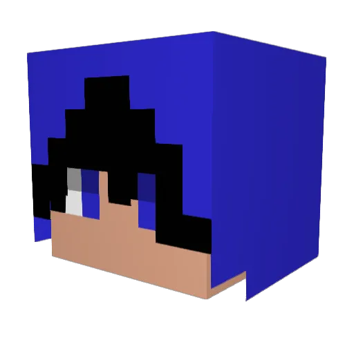 arthurfrbloss Minecraft avatar head, 3D render