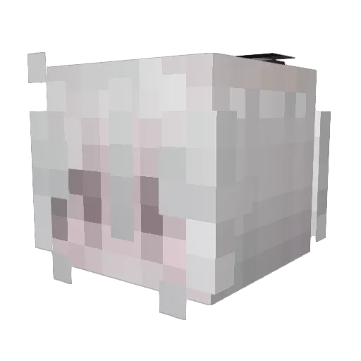 aruse7 Minecraft avatar head, 3D render