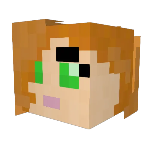 arwolfdog Minecraft avatar head, 3D render