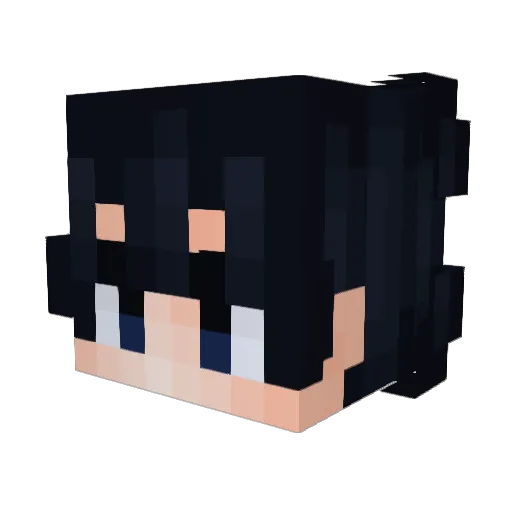 aryachu_ Minecraft avatar head, 3D render