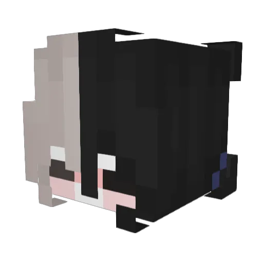 aryannah Minecraft avatar head, 3D render