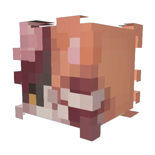 arysauce Minecraft avatar head, 3D render