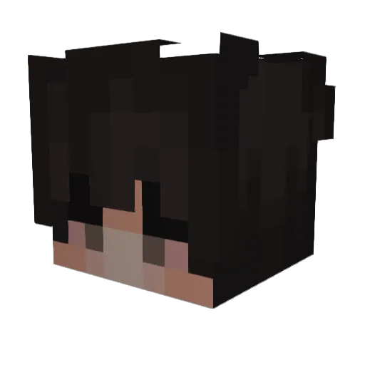 aryton Minecraft avatar head, 3D render