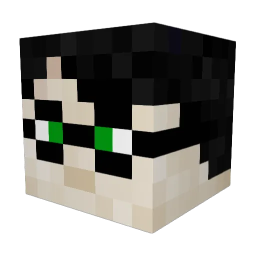 as4f123 Minecraft avatar head, 3D render