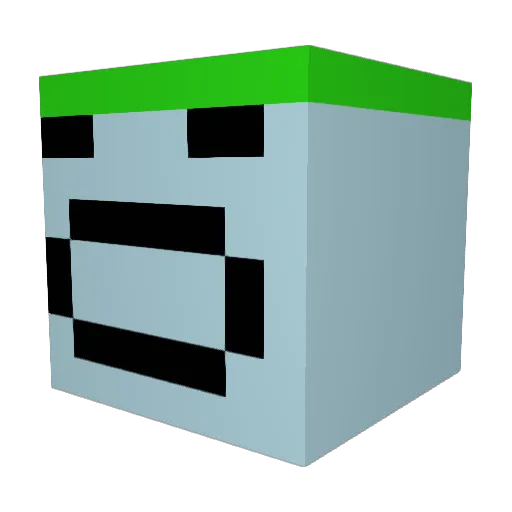 asRainbowPuppy Minecraft avatar head, 3D render
