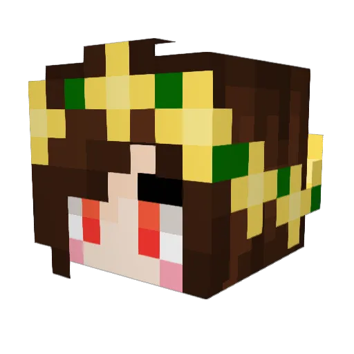 asael2135 Minecraft avatar head, 3D render