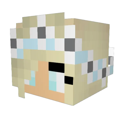 asaf1000 Minecraft avatar head, 3D render