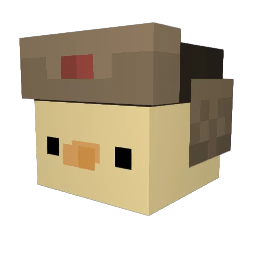 asankoon Minecraft avatar head, 3D render