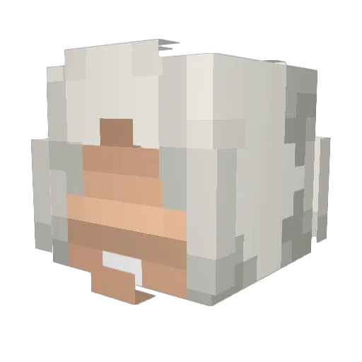 asasen71 Minecraft avatar head, 3D render