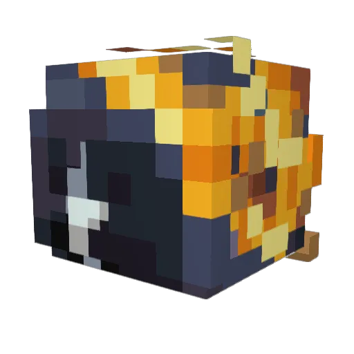 ascendedSushi Minecraft avatar head, 3D render