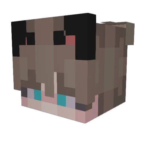 ascendedchang Minecraft avatar head, 3D render