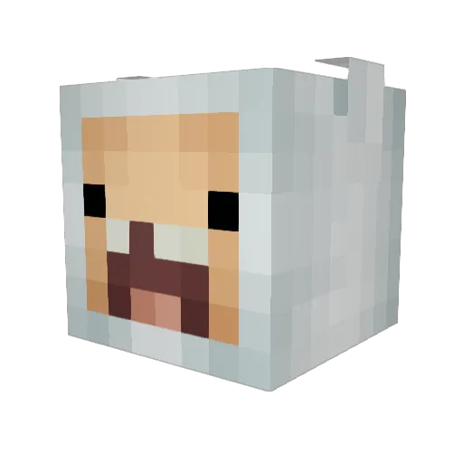 asciimoe Minecraft avatar head, 3D render