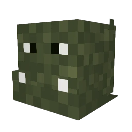 ascott5 Minecraft avatar head, 3D render