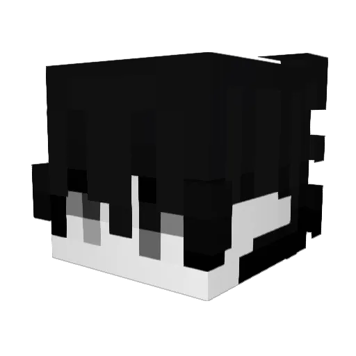 asd1232 Minecraft avatar head, 3D render