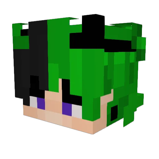 asdasdasdwaw Minecraft avatar head, 3D render