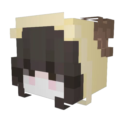 asdawqd Minecraft avatar head, 3D render