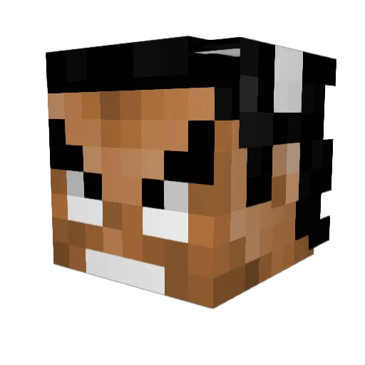 asdeas Minecraft avatar head, 3D render
