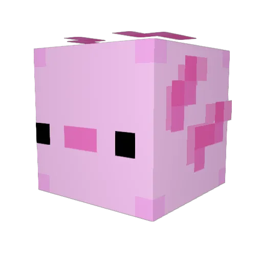 asdfdrago Minecraft avatar head, 3D render
