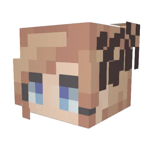 asdfertasdgdsafa Minecraft avatar head, 3D render