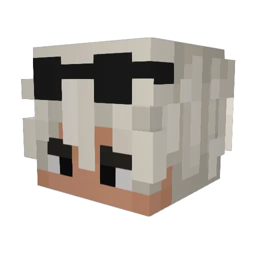 asdfghbjnk Minecraft avatar head, 3D render