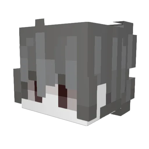 asdmath Minecraft avatar head, 3D render