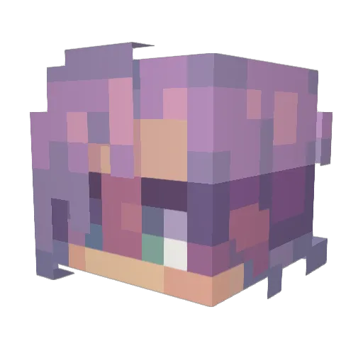 asdqwz Minecraft avatar head, 3D render
