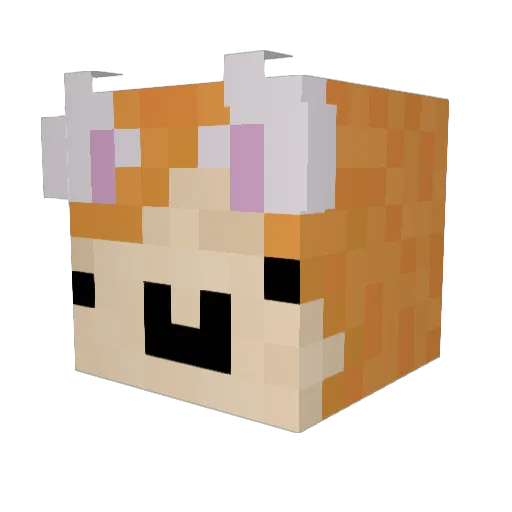 asegd Minecraft avatar head, 3D render