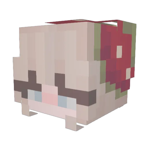 aseoi Minecraft avatar head, 3D render