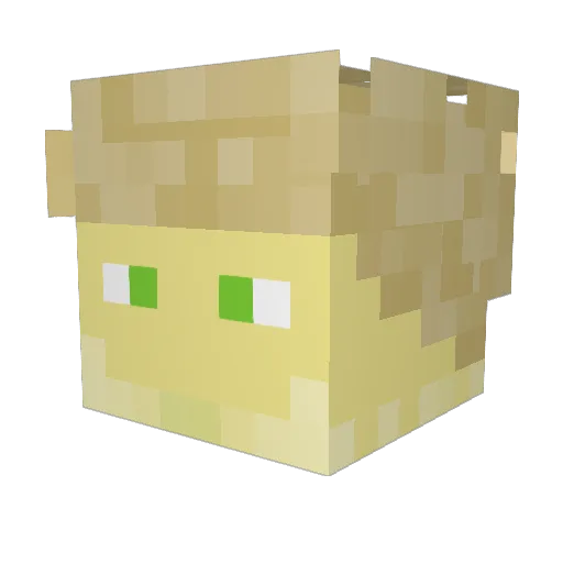 aseselle Minecraft avatar head, 3D render