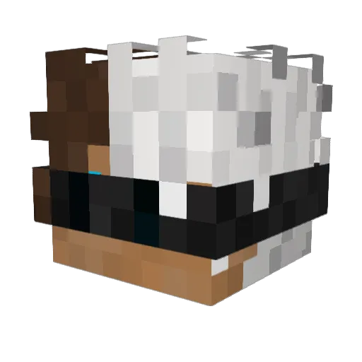 asfdbnQ Minecraft avatar head, 3D render