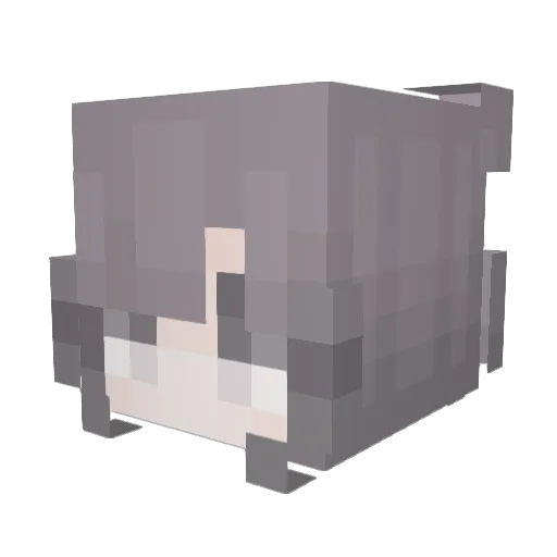 asgfhg Minecraft avatar head, 3D render