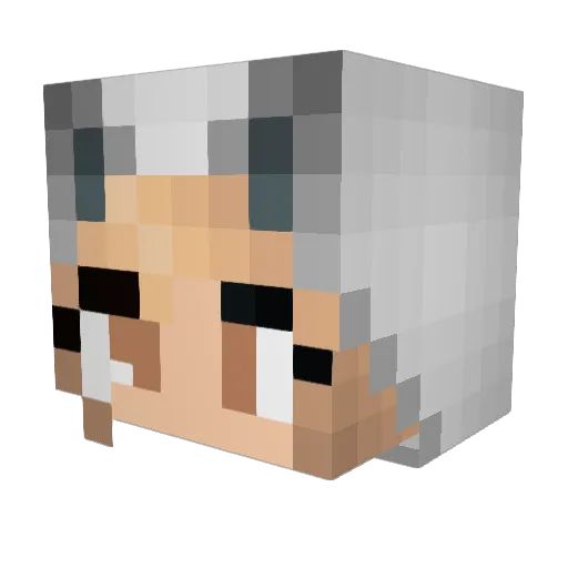 ash10701 Minecraft avatar head, 3D render