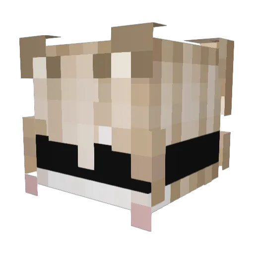 ashWisper Minecraft avatar head, 3D render