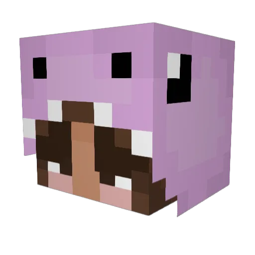 ashalilyx Minecraft avatar head, 3D render