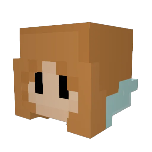 ashanator Minecraft avatar head, 3D render