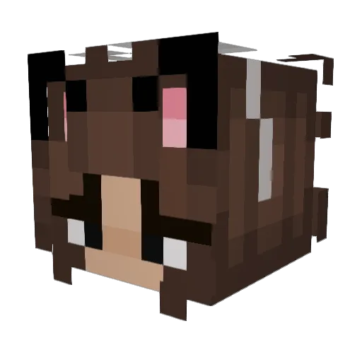 ashbungan Minecraft avatar head, 3D render