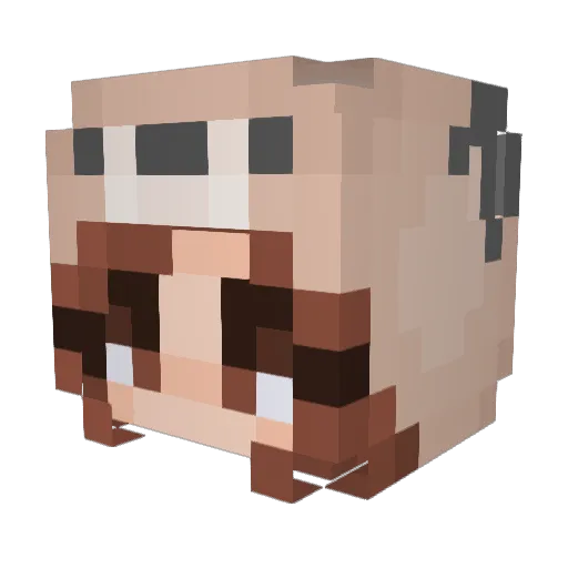 ashcheeks_ Minecraft avatar head, 3D render
