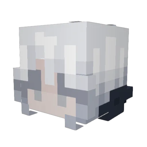 ashekki Minecraft avatar head, 3D render