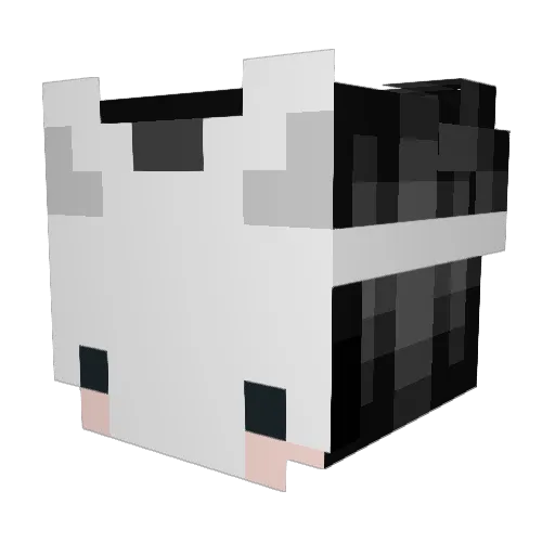 ashenmyers Minecraft avatar head, 3D render