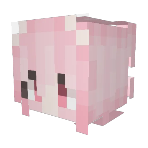 asheqwq Minecraft avatar head, 3D render