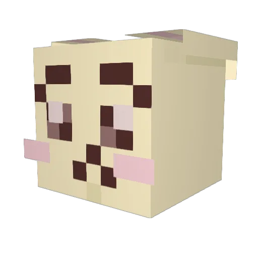 ashesx2dust Minecraft avatar head, 3D render