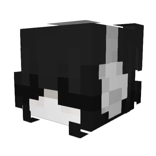 ashetrayz Minecraft avatar head, 3D render