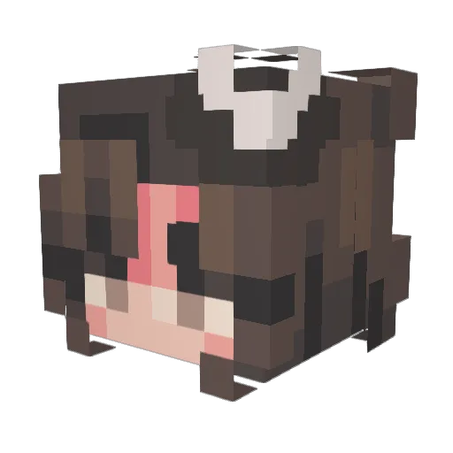 ashie2466 Minecraft avatar head, 3D render