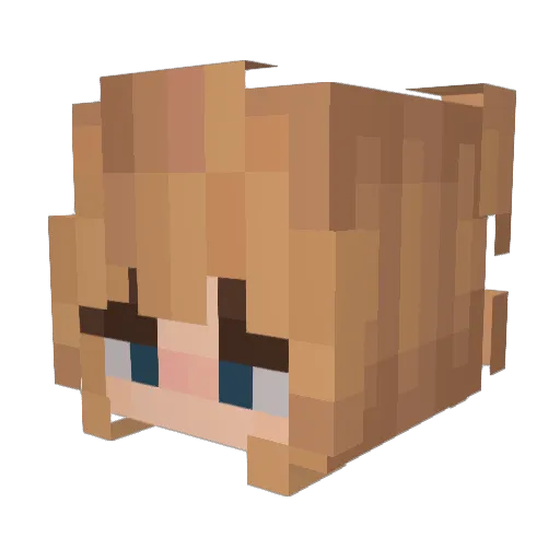 ashiiisrty Minecraft avatar head, 3D render