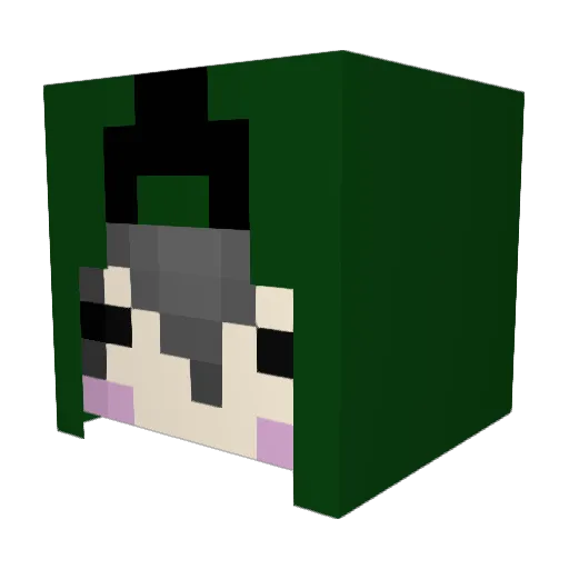 ashithanohai Minecraft avatar head, 3D render